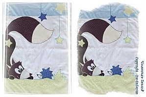 Couverture-Renard-Nael-2012-003