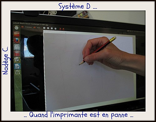 2 Systeme-D-Nadege