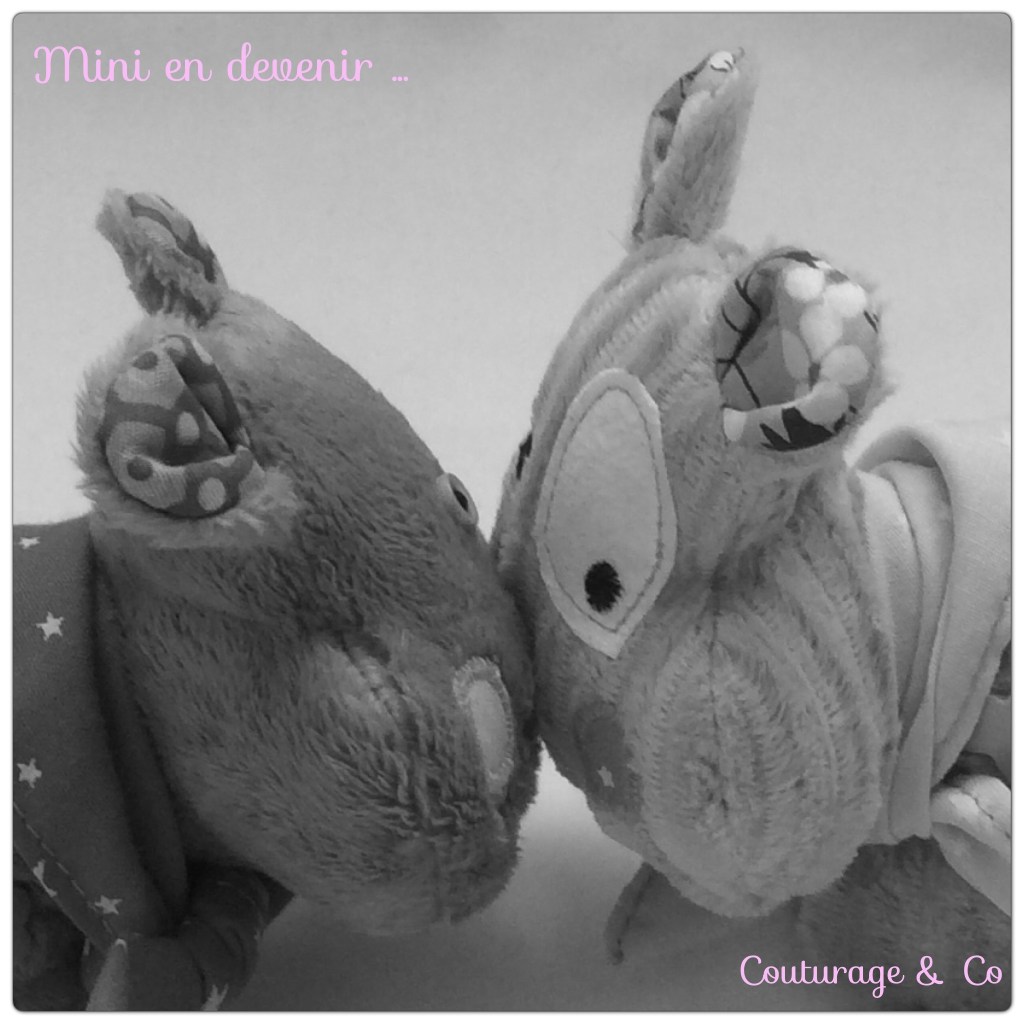 vagalam' mini 5 couturageco