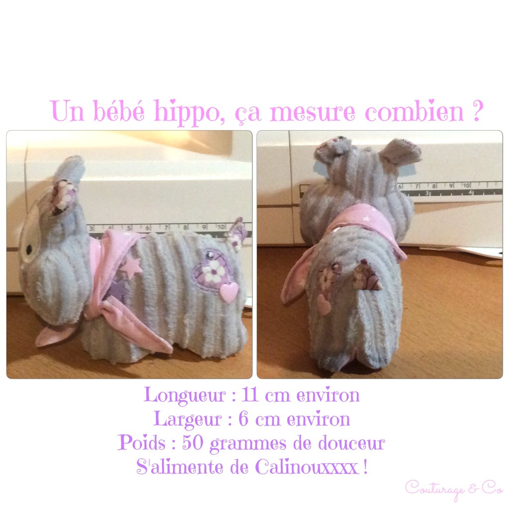 vagalam'mini 13 couturageco